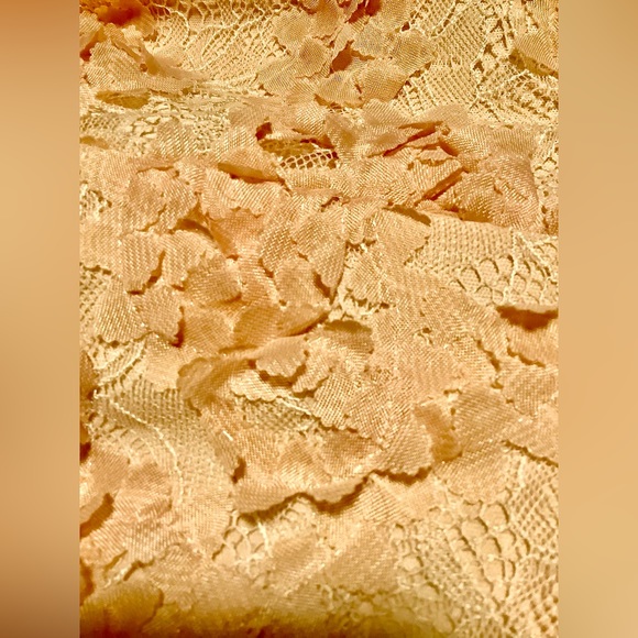 “Xscape by David’s Bridal” Dusty Rose Lace Dress - Picture 7 of 10